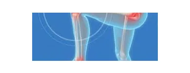 Business 3 image COMPLETE FOOTCARE CLINIC Health & Medicine in Tipperary TA