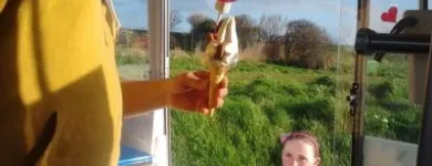 Business 5 image DROGHEDA ICE-CREAM VAN HIRE Travel & Tourism in Drogheda LH