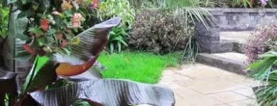 Business 4 image ELMA FENTON GARDEN ARCHITECTURE Real Estate & Home Improvement in Dublin IE


