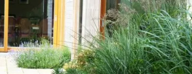 Business 5 image ELMA FENTON GARDEN ARCHITECTURE Real Estate & Home Improvement in Dublin IE


