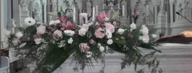 Business 8 image FLOWER POWER FLORIST & GARDEN CENTRE Shopping in Kilkenny KK