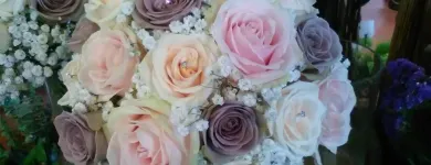 Business 9 image FLOWER POWER FLORIST & GARDEN CENTRE Shopping in Kilkenny KK