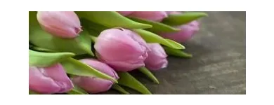 Business 1 image FLOWERS BY DOROTHY Shopping in Tipperary TA