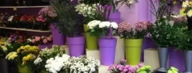 Business 2 image FLOWERS BY DOROTHY Shopping in Tipperary TA