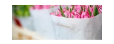 Business 4 image FLOWERS BY DOROTHY Shopping in Tipperary TA