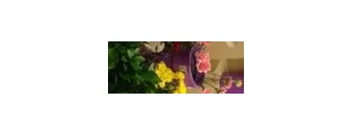 Business 5 image FLOWERS BY DOROTHY Shopping in Tipperary TA