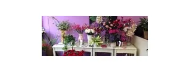 Business 6 image FLOWERS BY DOROTHY Shopping in Tipperary TA