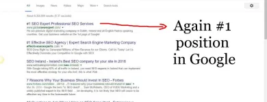 Business 1 image GLOBALSEOEXPERT.COM Web Developers in Dublin D