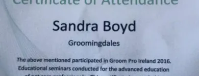 Business 7 image GROOMINGDALES Pet Grooming Services in Dublin IE


