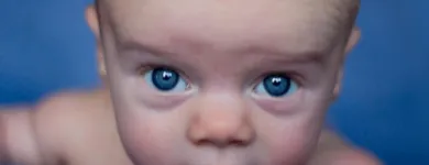 Business 2 image JANSSEN PHOTOGRAPHY Photography Studios & Labs in Bray WW