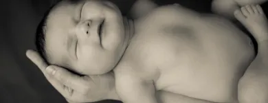 Business 7 image JANSSEN PHOTOGRAPHY Photography Studios & Labs in Bray WW