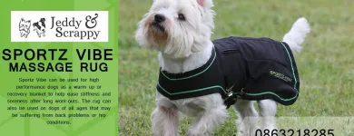 Business 1 image JEDDY & SCRAPPY Shopping in Tipperary TA