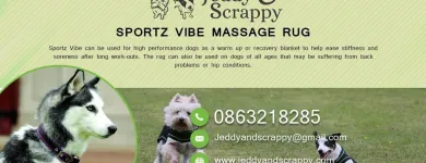 Business 3 image JEDDY & SCRAPPY Shopping in Tipperary TA