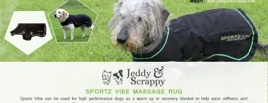 Business 4 image JEDDY & SCRAPPY Shopping in Tipperary TA