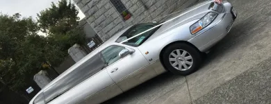 Business 11 image KPCD LIMOS DUBLIN Travel & Tourism in Dublin IE



