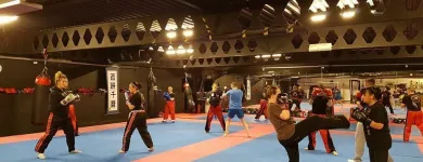 Business 2 image MASTERS TEMPLE MARTIAL ARTS Sports & Recreation in Bray WW