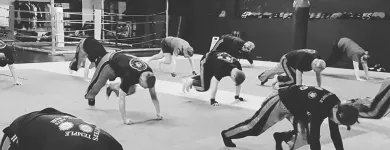 Business 3 image MASTERS TEMPLE MARTIAL ARTS Sports & Recreation in Bray WW