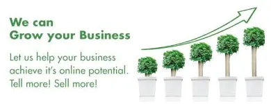 Business 5 image MEANIT WEB DESIGN AGENCY DONEGAL Web Developers in Letterkenny DL