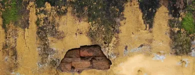 Business 1 image MOULD REMOVAL IRELAND House Cleaning Services in Bray WW