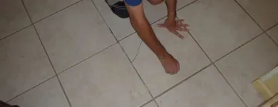 Business 3 image MOULD REMOVAL IRELAND House Cleaning Services in Bray WW