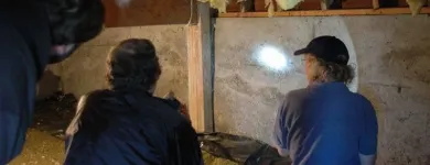 Business 4 image MOULD REMOVAL IRELAND House Cleaning Services in Bray WW