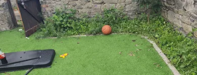 Business 4 image NEWLINE GARDENING LANDSCAPING Landscape Gardeners & Contractors in Dublin D