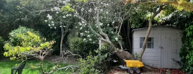 Business 35 image NEWLINE GARDENING LANDSCAPING Landscape Gardeners & Contractors in Dublin D