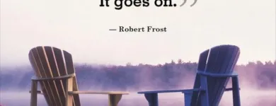 Business 3 image OLIVIA NAUGHTON COUNSELLING AND PSYCHOTHERAPY DUBLIN Psychotherapy in Dublin D