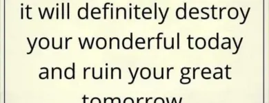 Business 16 image OLIVIA NAUGHTON COUNSELLING AND PSYCHOTHERAPY DUBLIN Psychotherapy in Dublin D