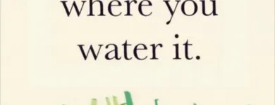 Business 17 image OLIVIA NAUGHTON COUNSELLING AND PSYCHOTHERAPY DUBLIN Psychotherapy in Dublin D