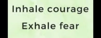 Business 20 image OLIVIA NAUGHTON COUNSELLING AND PSYCHOTHERAPY DUBLIN Psychotherapy in Dublin D