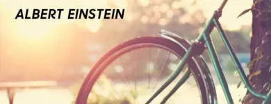 Business 28 image OLIVIA NAUGHTON COUNSELLING AND PSYCHOTHERAPY DUBLIN Psychotherapy in Dublin D