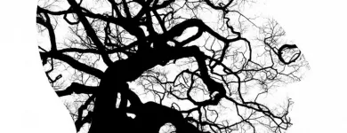 Business 31 image OLIVIA NAUGHTON COUNSELLING AND PSYCHOTHERAPY DUBLIN Psychotherapy in Dublin D