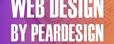 Business 5 image PEARDESIGN Web Design in Dublin IE


