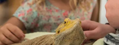 Business 13 image RADISSON BLU HOTEL & SPA LIMERICK Travel & Tourism in Limerick IE


