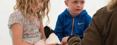 Business 15 image RADISSON BLU HOTEL & SPA LIMERICK Travel & Tourism in Limerick IE


