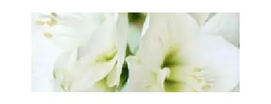 Business 1 image RAMON MASSEY & SON Travel & Tourism in Walkinstown D