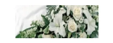 Business 2 image RAMON MASSEY & SON Travel & Tourism in Walkinstown D