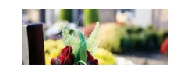 Business 3 image RAMON MASSEY & SON Travel & Tourism in Walkinstown D