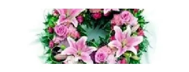 Business 4 image RAMON MASSEY & SON Travel & Tourism in Walkinstown D