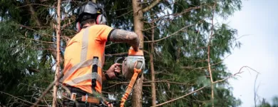 Business 45 image REVIVE LANDSCAPING & HOME IMPROVEMENTS Landscape Gardeners & Contractors in Carlow IE


