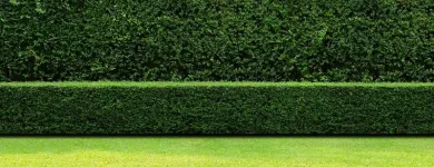 Business 4 image RIGHT OF LIGHT SURVEYORS DUBLIN Surveyors in Dublin D