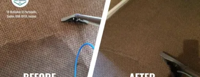 Business 19 image SHINY CLEANING Cleaning Services in Dublin IE


