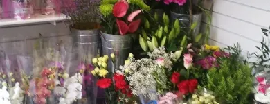 Business 3 image THANKS A BUNCH Shopping in Kilkenny KK