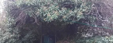 Business 2 image THE BLACK VAN HANDYMAN Window Cleaners in Dundalk LH