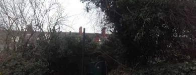 Business 3 image THE BLACK VAN HANDYMAN Window Cleaners in Dundalk LH