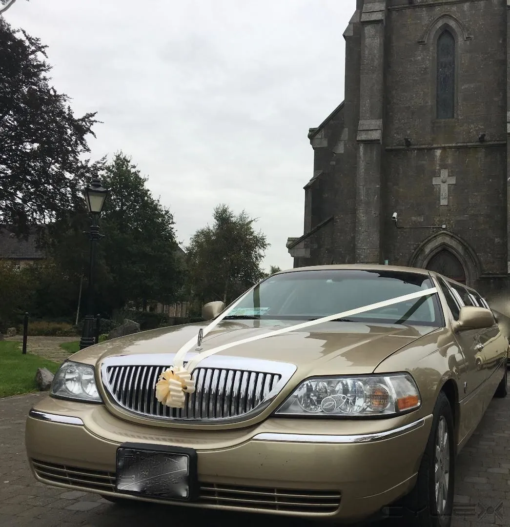 Business 4 image KPCD LIMOS DUBLIN
