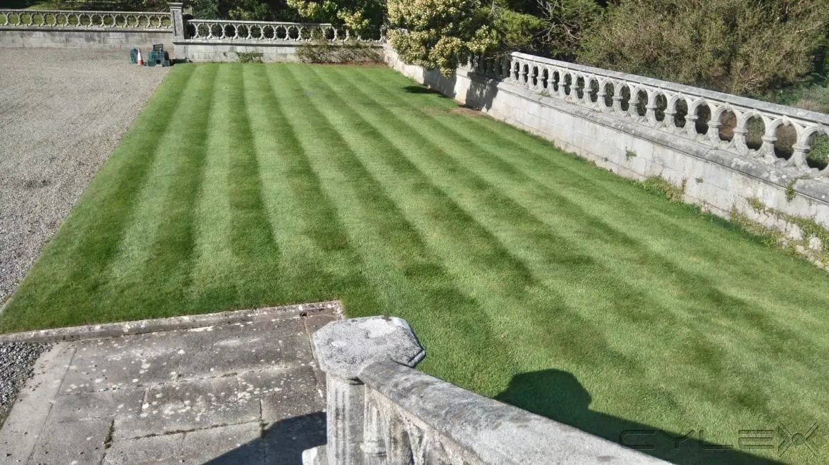 Business 4 image GARDENER GEORGE