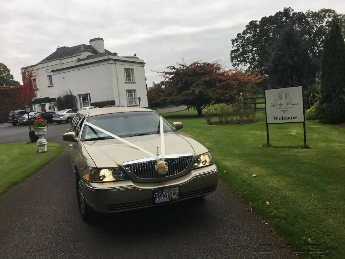 Business 1 image KPCD LIMOS DUBLIN