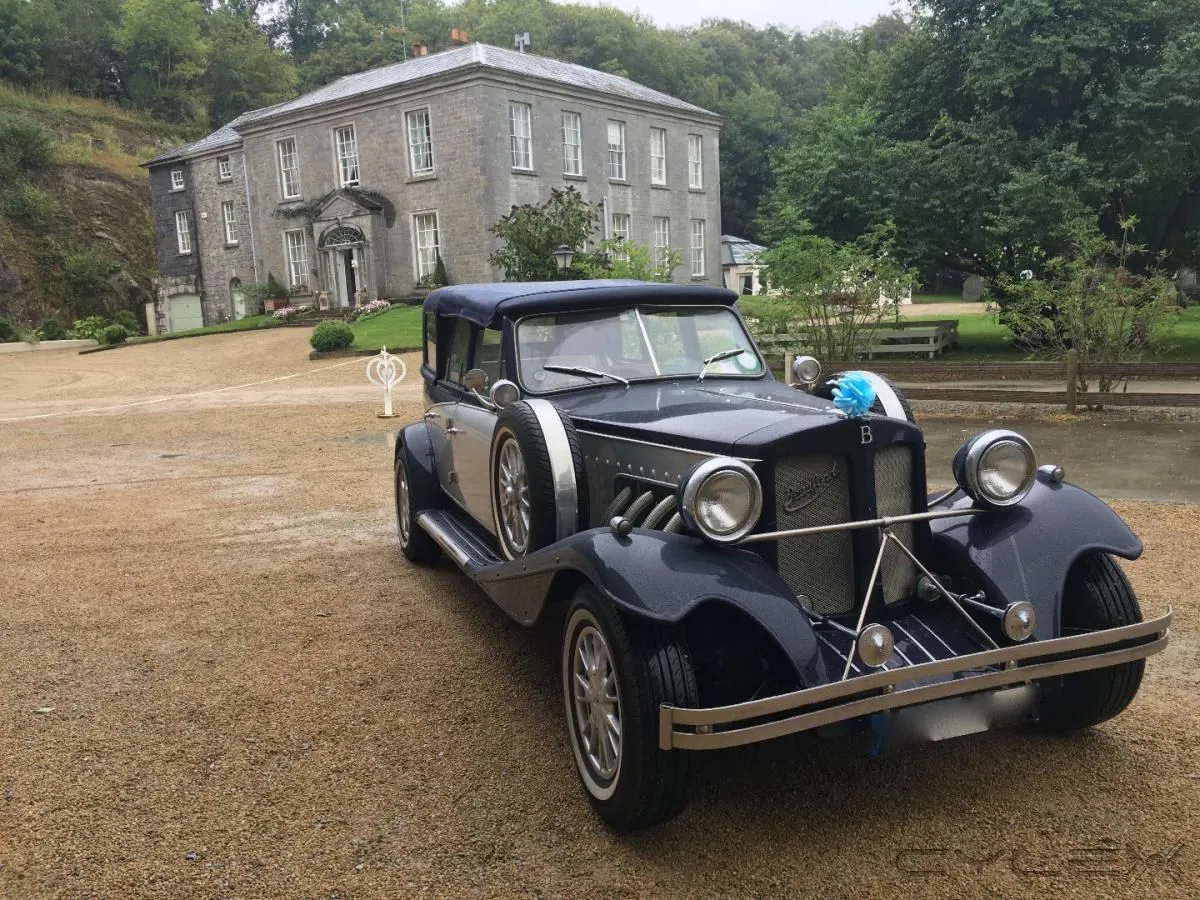 Business 5 image KPCD LIMOS DUBLIN